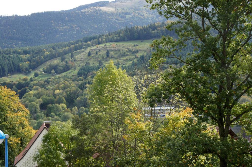 Hotel Restaurant Perle Des Vosges Muhlbach-sur-Munster Dış mekan fotoğraf